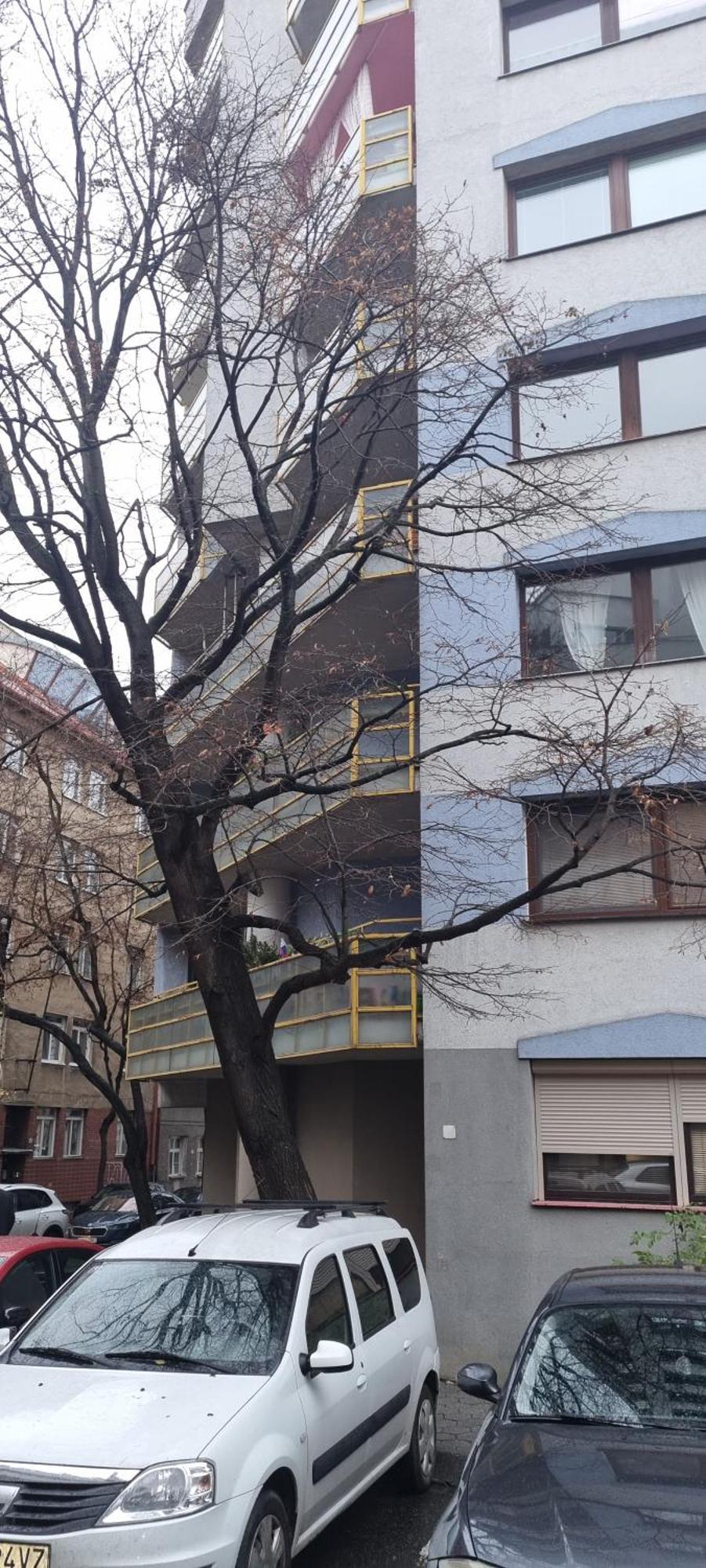 Huge Apartment Next To Train Station Close To The City Center Bratislava Dış mekan fotoğraf